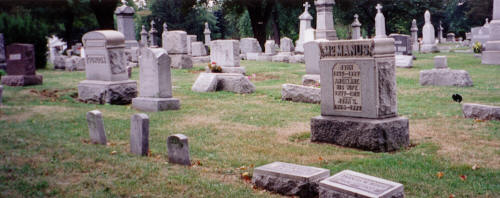 McManus Plot