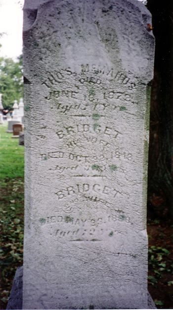 Thomas McManus family monument