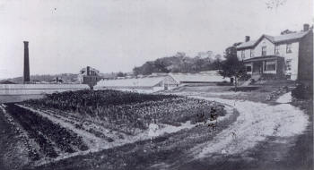 Fitzgerald Greenhouses Postcard